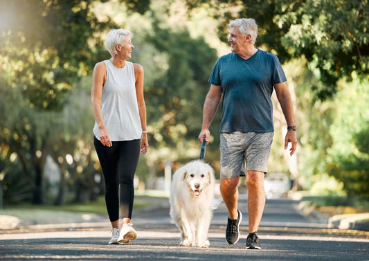 Walking: A Simple Path to Better Health
