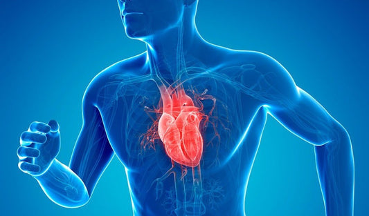 How Much Daily Movement Do You Really Need to Protect Your Heart?