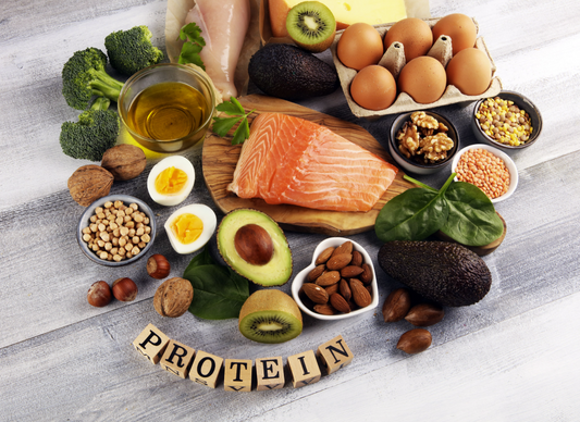 The Power of Protein as We Age